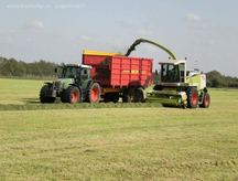 Gras hakselen
