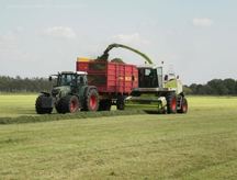 Gras hakselen